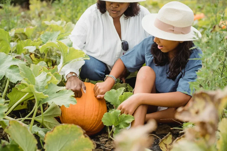 Top 10 Gardening Tips from an Expert: Soil, Compost, and More