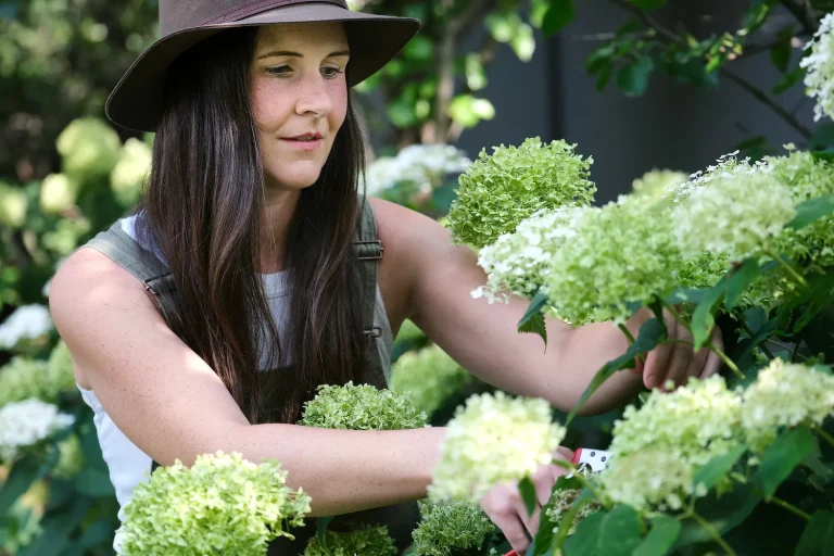 How to Prune Your Garden for Healthier Plants